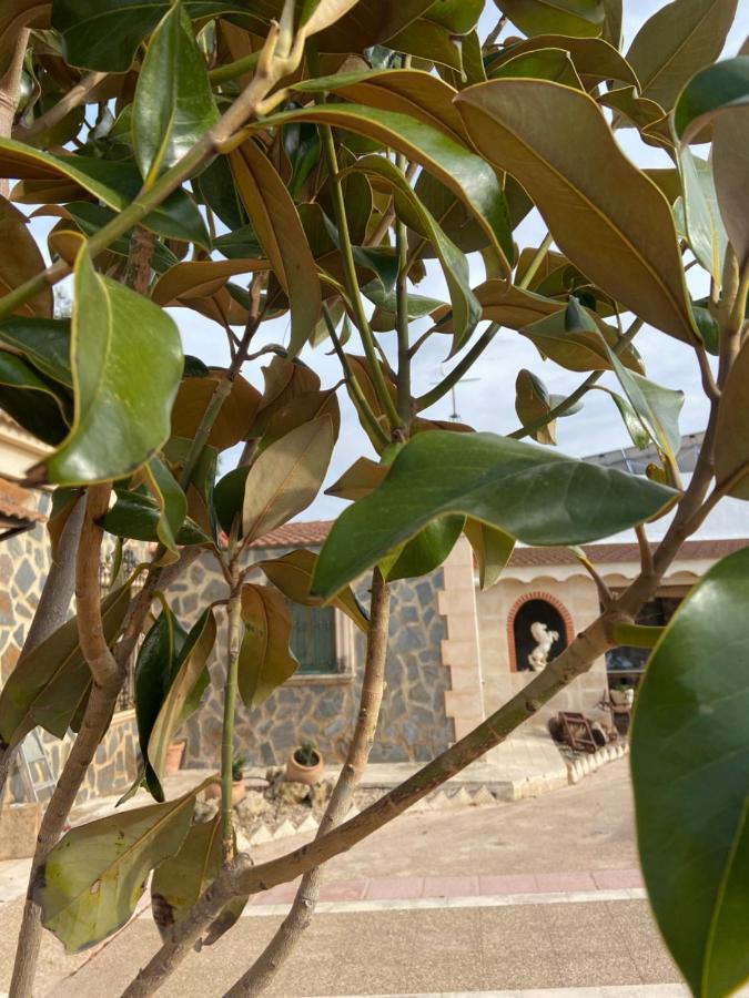 Esse Natura Alojamientos & Lifestyle Pozohondo Eksteriør billede