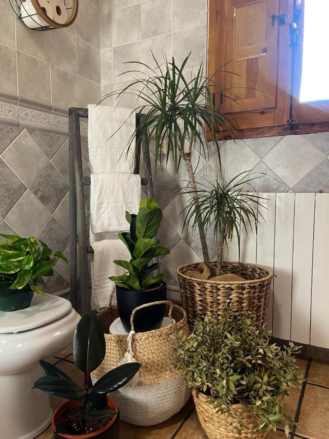 Esse Natura Alojamientos & Lifestyle Pozohondo Eksteriør billede